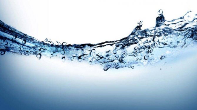 Бизнес на воде – составляем бизнес-план и подсчитываем прибыль