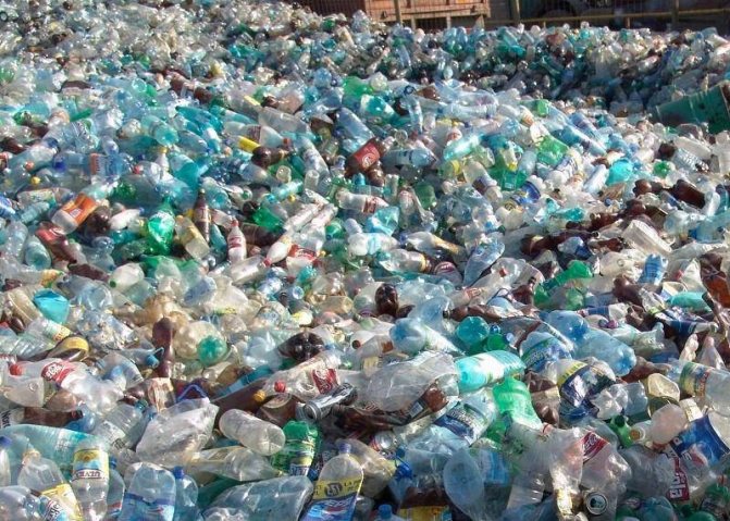 Бизнес-план производства по переработке пластиковых бутылок.