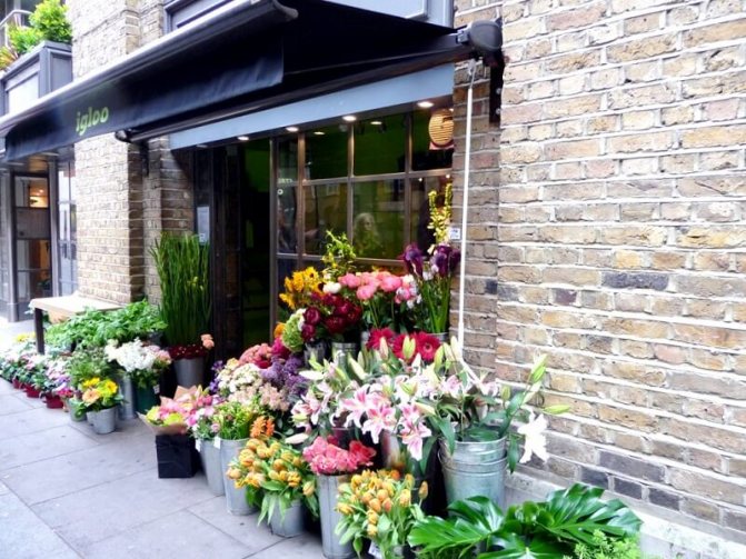 Как открыть цветочный магазин — пошаговый бизнес план