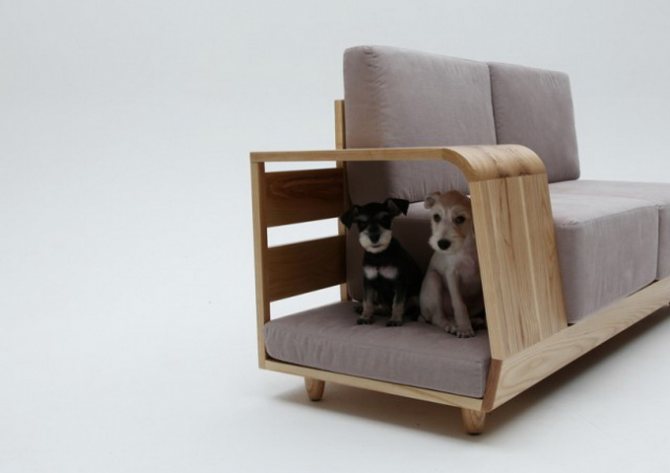 Красивая дизайнерская мебель для животных