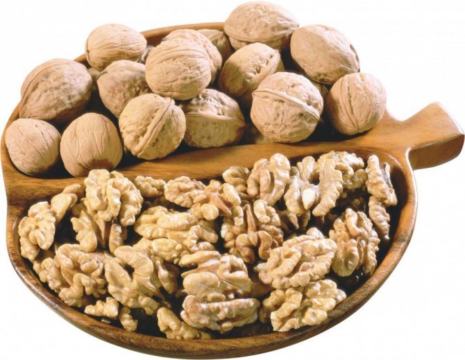 Особенности, условия и агротехника выращивания грецкого ореха. Как вырастить, чтобы был крупным?