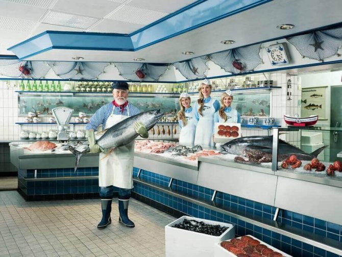 Открываем рыбный магазин