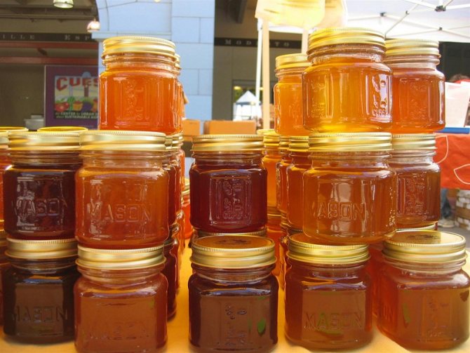 При организации пчеловодческого бизнеса необходимо правильно выбрать наиболее популярный сорт для пчелиного бизнеса