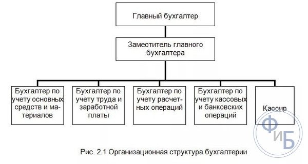 Структура бухгалтерских организаций