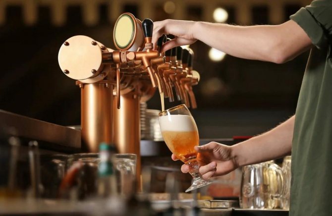 Мини-цех по производству пива: как открыть и хорошо заработать?